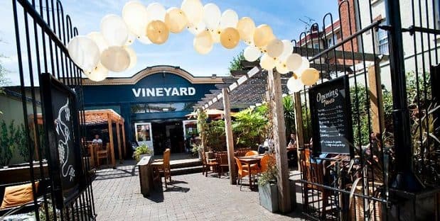 The Vineyard, photo 1